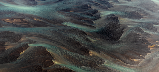 5 Reasons to Choose Algae Over Fish oil for Your Omega-3s