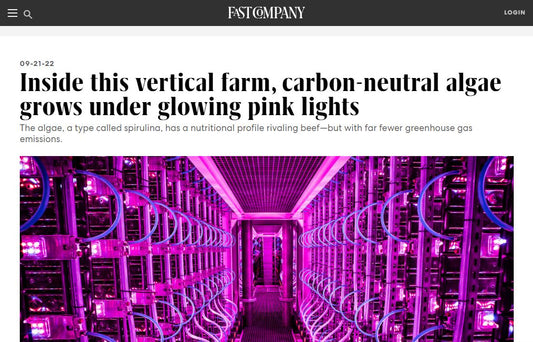 Inside this vertical farm, carbon-neutral algae grows under glowing pink lights
