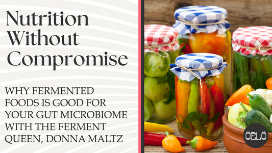 Why Fermented Foods Is Good For Your Gut Microbiome With The Ferment Queen, Donna Maltz