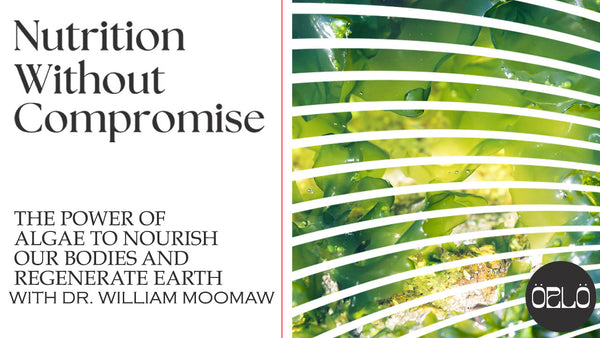 The Power Of Algae To Nourish Our Bodies And Regenerate Earth With Dr. William Moomaw