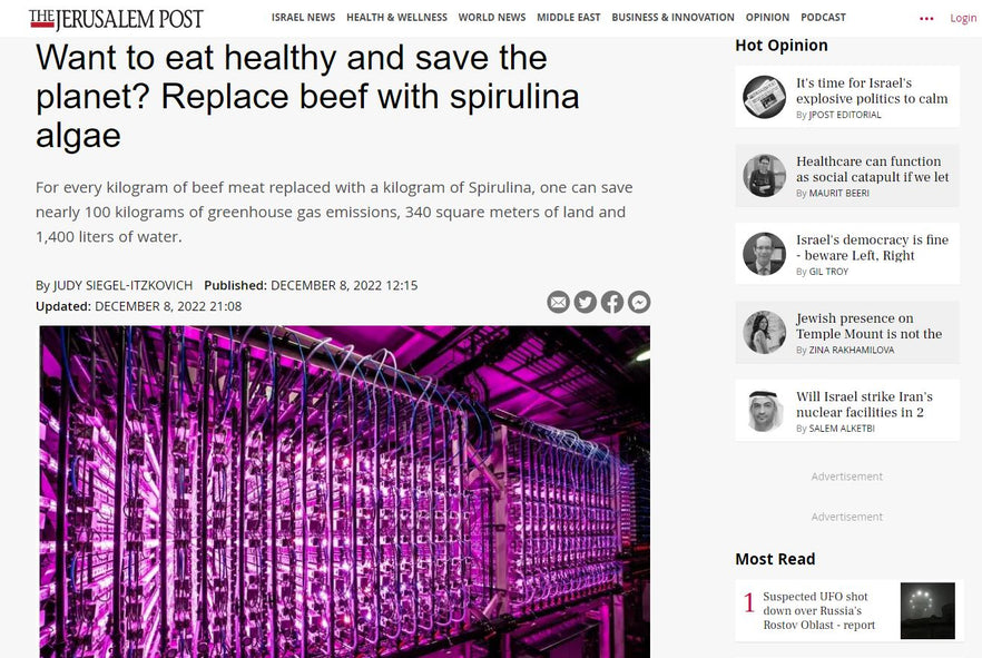 Want to eat healthy and save the planet? Replace beef with spirulina algae