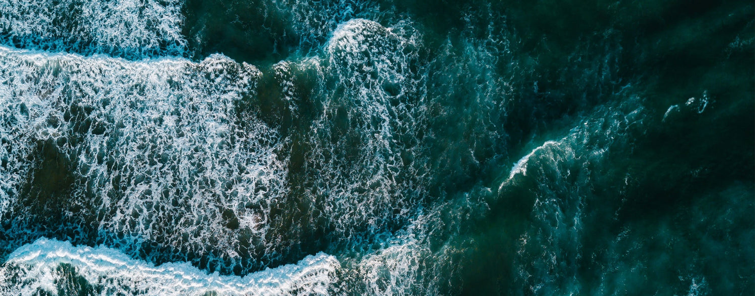 Fish Free - Ocean-Friendly Nutrition