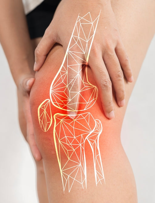 Benefits of Vegan Omega-3 for Joint Health