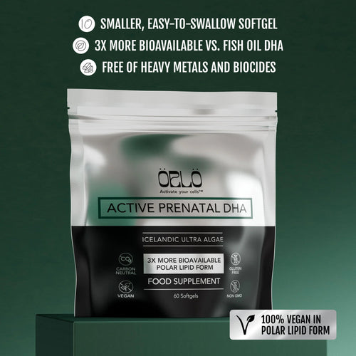Active Prenatal DHA+